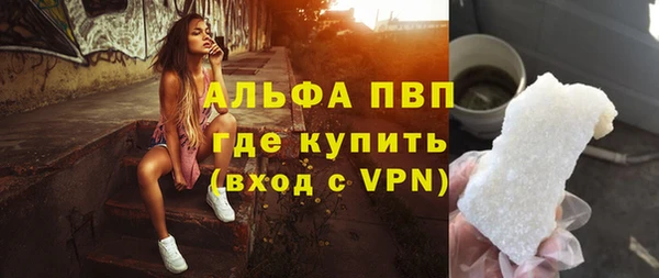 гашик Гусев