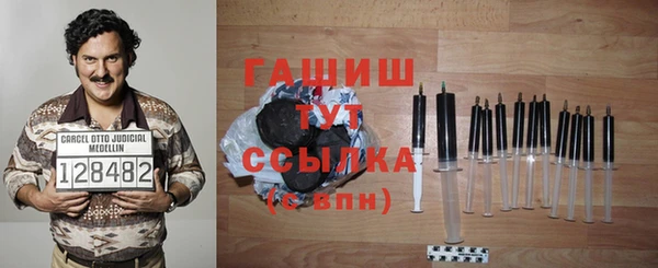 гашик Гусев