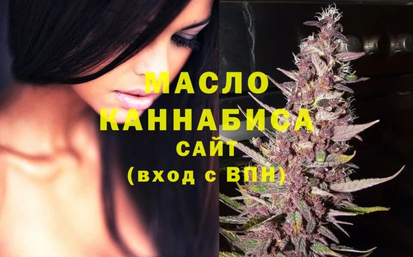 гидра Гусь-Хрустальный