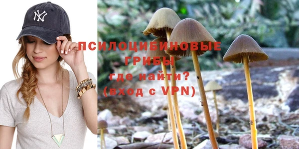 крисы Вяземский