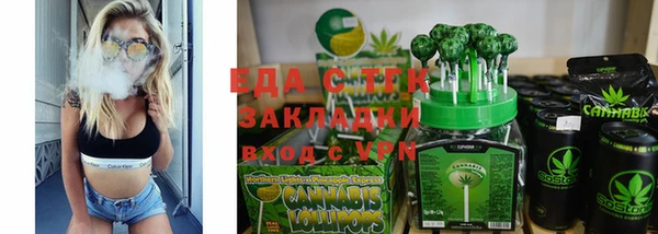 гашик Гусев