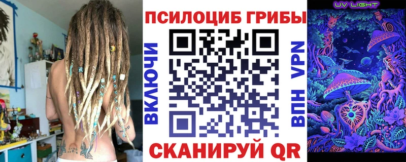 Галлюциногенные грибы Psilocybine cubensis  купить наркотик  Далматово 